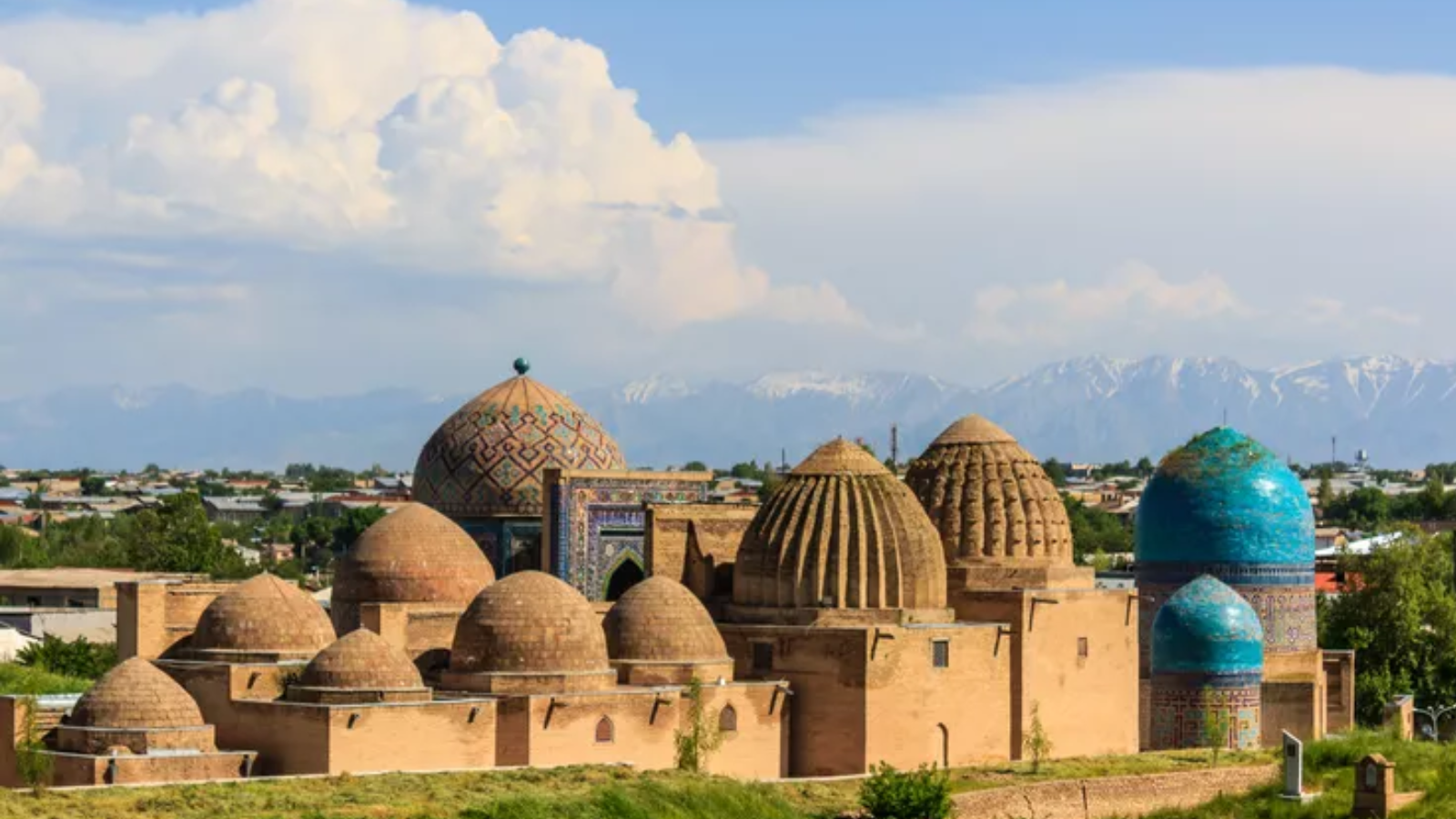 Fact-o-Logy — Uzbekistan Edition